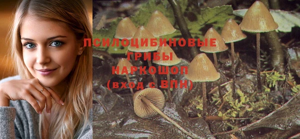 прущие грибы Верхнеуральск